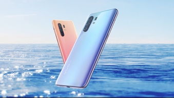 vivo X100s影像评测，配置够强，质感好照片随手拍