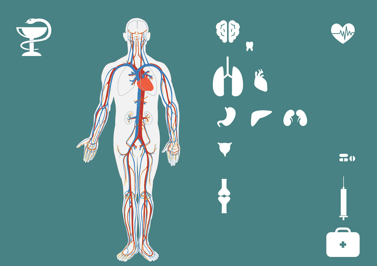 探索数字医疗的新篇章，中国乡村医生网——连接城乡，守护生命之光