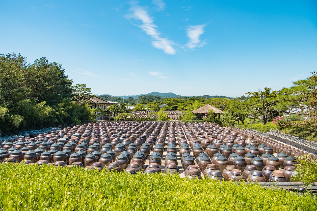 探索绿色农业的未来，安徽农业大学学报深度解析与科技创新引领