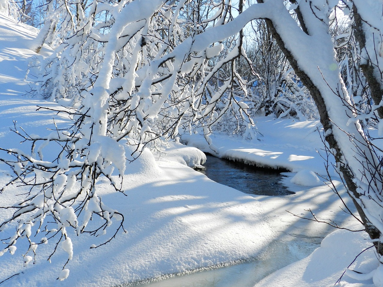 东北局地的雪，深度解析与体验分享